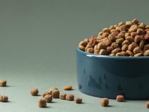 aşılama, domuz gribi, ev yemeği, ilaç endüstrisi, kedi bakımı, kedi maması, kolesterol tedavisi, modern hayat, sağlık ekonomisi, sağlık sektörü, sağlık sigortası, tüketici bilinci, tüketim kültürü