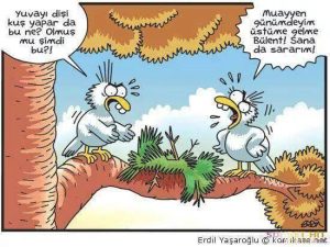 iş yerinde kadın olmak, kadın dayanışması, kadın olmak, kadın ve iş hayatı, kadınların günlük hayatı, mizah, ofis hikayeleri, saç modeli, saç tüyosu, toplumsal roller