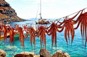 aile işletmesi restoranlar, deniz tatili, doğal plajlar, Ege adaları, Ege mutfağı, gastronomi turu, midilli, Midilli deniz ürünleri, Midilli yemekleri, sardalya, taze balık