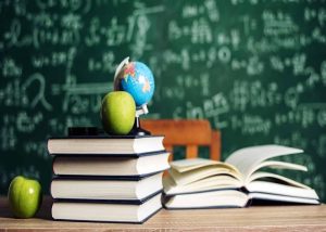 akademik destek, çocuk gelişimi, çocuk hakları, ebeveynlik, eğitim, eğitim reformu, evde eğitim, öğrenme, öğretmen, okul sistemi, sınav sistemi, yaratıcılık
