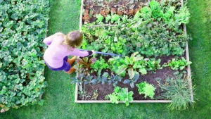 boş zaman değerlendirme, çocuk gelişimi, çocuk hobileri, eğitimde hobiler, gönüllü faaliyet, gönüllülük, hobi, hobiler, kültür, müzik, okul kulüpleri, sosyal sorumluluk, spor, Türkiye'de eğitim