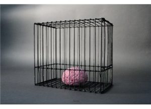 Cemil Meriç sözleri, değişime direnç, eğitim sistemi eleştirisi, güncellenme metaforu, Hazerfen Ahmet Çelebi, kişisel gelişim, muhafazakar düşünce, muhafazakarlık nedir, teknolojik güncellemeler, toplumsal değişim, yenilikçilik