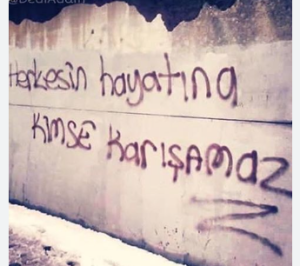evcil hayvan sevgisi, kaybolan kedi deneyimi, kedi hikayeleri, kedi sahibi endişesi, kedi sahiplenme hikayeleri, kediler neden eve geç gelir, kediler ve özgürlük, pişi kedi, tekir kedi macerası