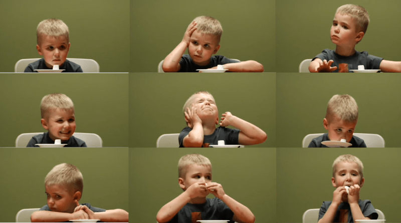 Marshmallow Testi ve İrade