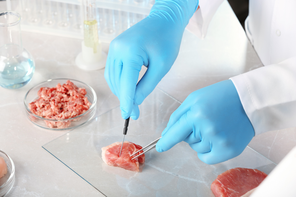 laboratuvar eti, kültür eti, yapay et, hücresel tarım, rejeneratif tıp, kök hücre, doku mühendisliği, böcek proteini, alternatif protein, sürdürülebilir beslenme, gıda teknolojisi, biyoteknoloji, geleceğin gıdası, çevre, sağlık, bilim, STEM, Defne, sürdürülebilir gelecek